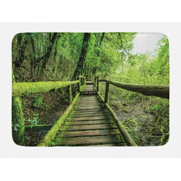 Rainforest Bath Mat, Rainforest in Inthanon Mountain Chiang Mai Thailand Romantic Honeymoon Theme, Non-Slip Plush Mat Bathroom Kitchen Laundry Room Decor, 29.5 X 17.5 Inches, Green Brown, Ambesonne