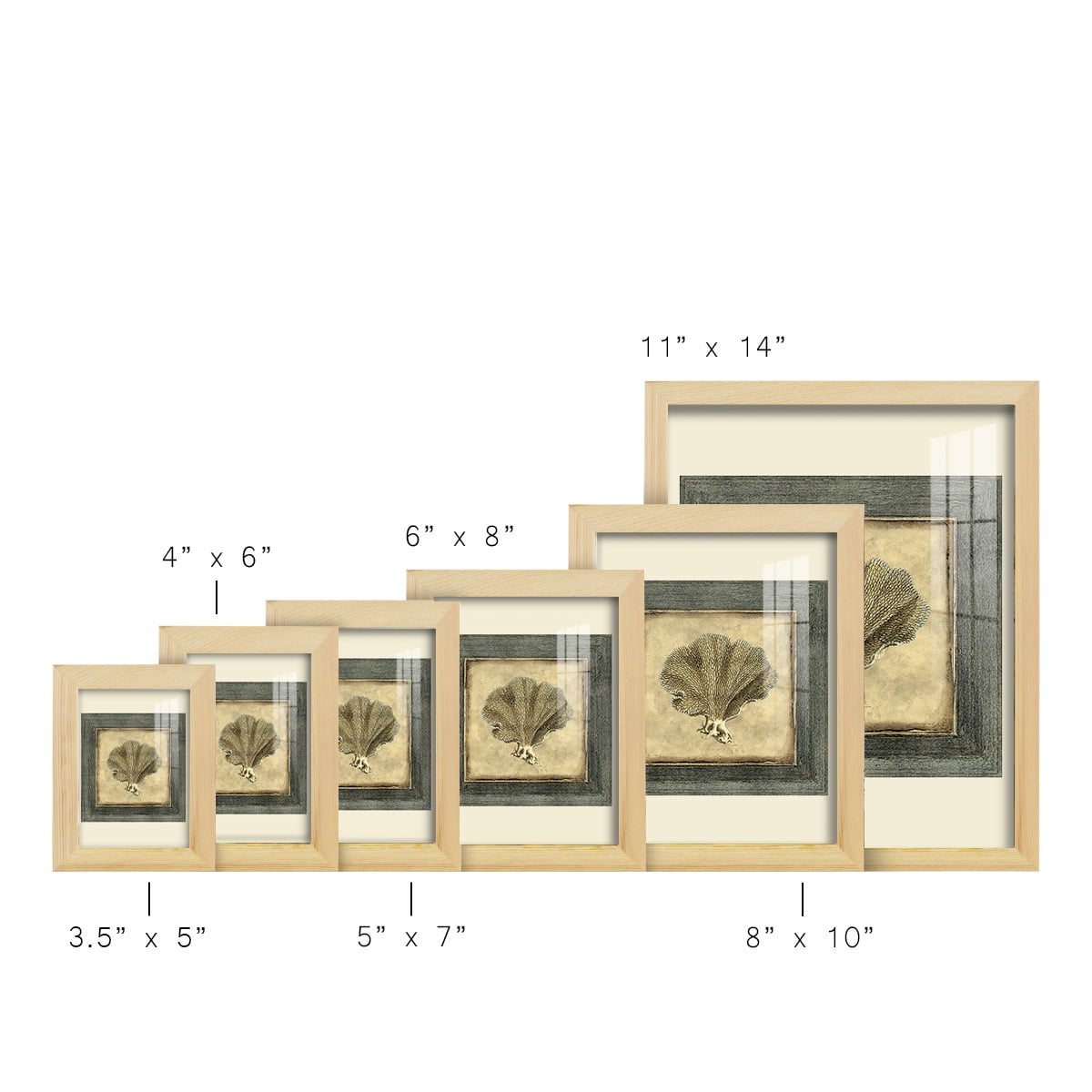 Mini Exotic Coral VI (U) - Framed Print w/glass - Natural Wood