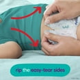 Pampers Cruisers Diapers 360 Size 5, 100 Count (Select for More Options