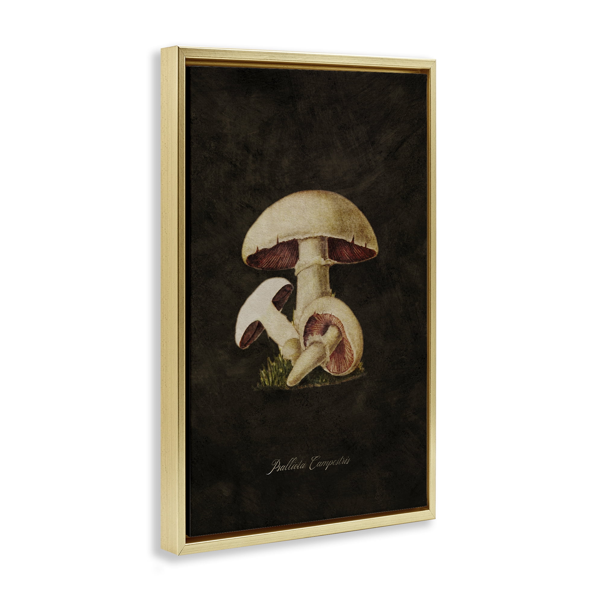Stupell Industries Vintage Portobello Mushroom Plants & Flowers Painting Gold Floater Framed Canvas Art Print Wall Art, 17 x 25