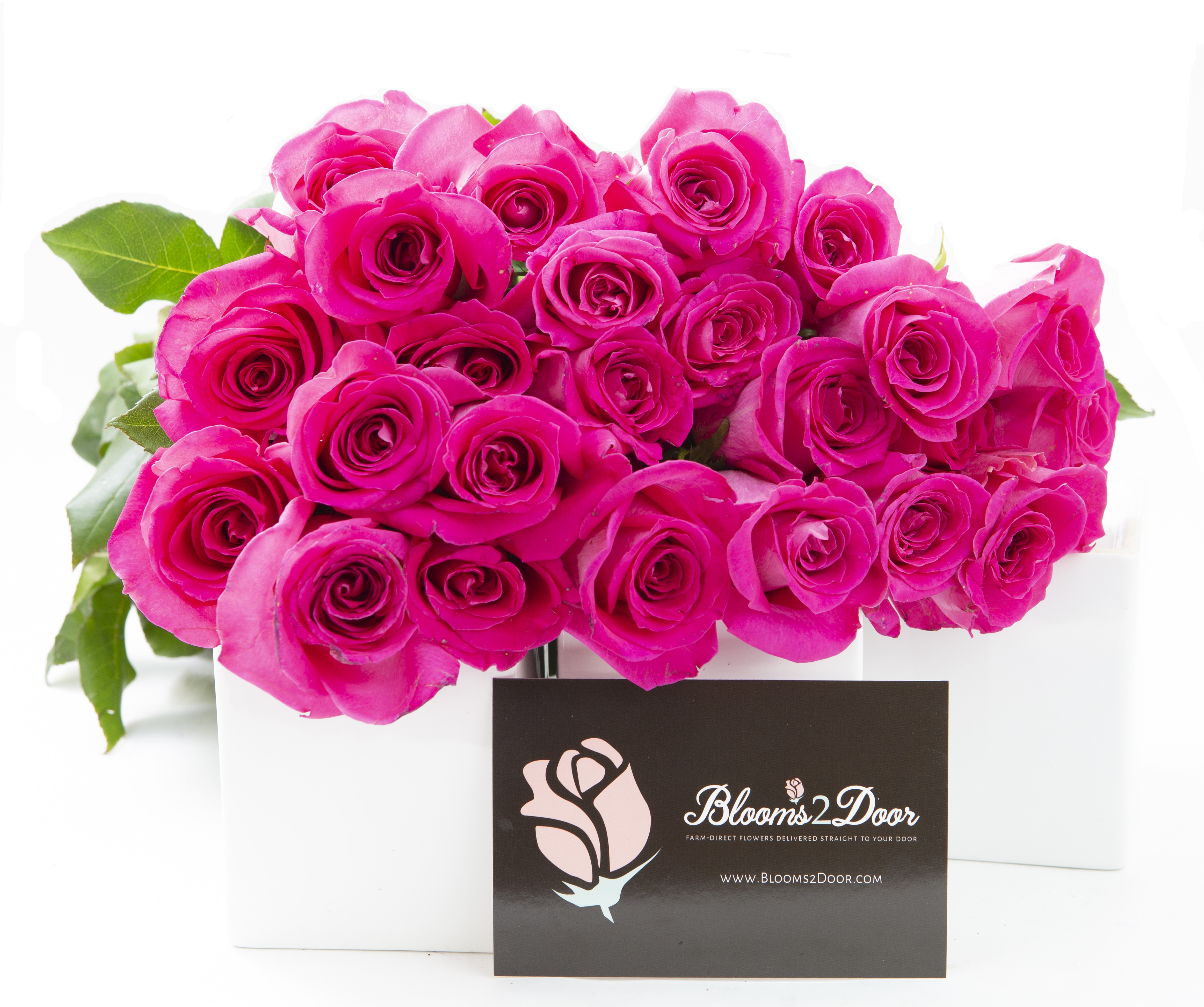 Blooms2Door 25 Hot Pink Roses (FarmFresh, Long Stem 50cm) Farm