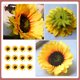 thumbnail image 5 of 12Pcs Simulated Sunflowers Imitation Flowers Head Decors Fake Sunflower Props HOMEMAXS 13891808-MX, 5 of 6