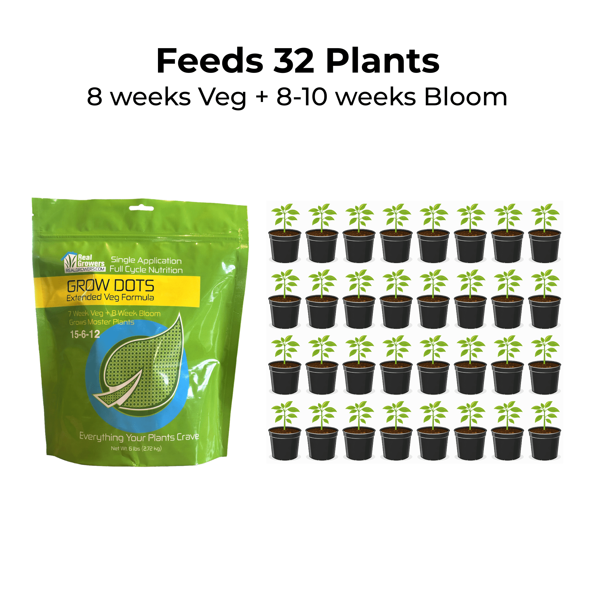 Grow Dots Extended Plant Food, Single-Application, Programmed-Release Plant Nutrient Fertilizer - 6lb