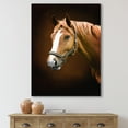 thumbnail image 2 of Designart ' Brown Horse With White Nose Portrait ' Farmhouse Canvas Wall Art Print, 2 of 4