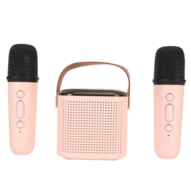 Ensemble de Haut-Parleurs et Microphones RVB Portables, Système PA Rechargeable BT 5.3 de 5200 mAh, Mini Machine de Karaoké avec 2 Micros Sans Fil pour Fête d'Anniversaire à la Maison