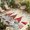 Off White, variant on Indoor Outdoor Area Rugs,Farm Gnome Mushrooms Daisy Washable Patio Rug Non-slip Quick Dry Camping Rugs,Retro Floral Leaves Floor Carpet for Porch Deck Backyard RV Decor,4x6ft
