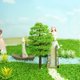thumbnail image 2 of Injueey Paquete de 20 Mini modelo de árbol, árboles de plástico artificiales, arquitectura, paisaje, bricolaje, oficina, jardín, decoración, Decoración del hogar Injueey HA011976-00, 2 of 6