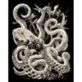 thumbnail image 2 of Royal & Langnickel(R) Glow In The Dark Foil Engraving 8"X10"-Octopus - GLOW-13, 2 of 2