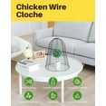 thumbnail image 5 of GYZJ 13” x 15.75” Metal Black Chicken Wire Plant Cloche with Rust Resistant Protection (12 Count), 5 of 6