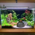 thumbnail image 3 of Shrimp Dome Hide & Betta Fish Cave - Porous Aquarium Shelter for Small Fish, Shrimp Habitat, Rest and Breeding, Terrarium Decor with Natural Stone Look, 3 of 4