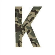 Krylon Camouflage Paint, Ultra Flat, Black, 11 oz.