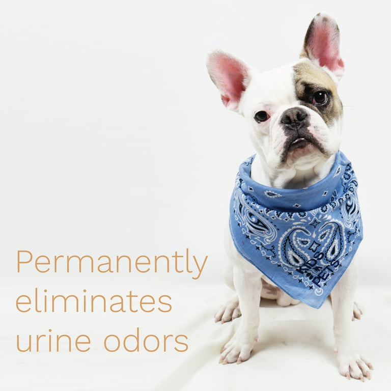 Kids 'N' Pets - Instant All-Purpose Stain & Odor Remover – 27 fl oz - Permanently Eliminates Tough Stains & Odors – Including Urine Odors - No Harsh Chemicals, Non-Toxic & Child Safe, Multi-Color