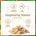 thumbnail image 3 of SVA Frankincense Essential Oil – 1 Fl Oz – 100% Natural Boswellia Carterii Oil - for Diffuser, Hair Care, Face, Skin Care, Aromatherapy, Scalp and Body Massage, Soap and Candle Making – with Dropper, 3 of 9