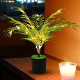 thumbnail image 3 of Árbol en maceta luz nocturna planta de simulación lámpara de escritorio enchufe USB para el hogar sala de estar, 3 of 9