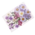 thumbnail image 1 of Paquete Múltiple Hermosas Flores Secas de Flores das Reales para Arte, Manualidades, álbumes de Recortes, Resina, Joyería, Fabricación de do Macarena Flores secas prensadas naturales, 1 of 6