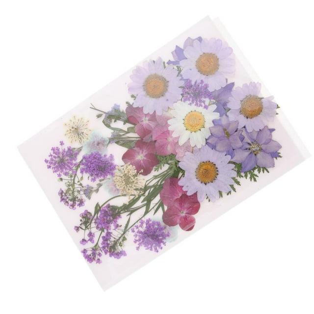segolike 10Pcs Multiple Mix Natural Pressed Dried Flowers Leaves DIY Arts Crafts