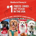 thumbnail image 4 of Stella & Chewy's Freeze-Dried Raw Meal Mixers Dog Food Topper - Stella's Super Beef Recipe - 1 Ounce Bag, 4 of 11