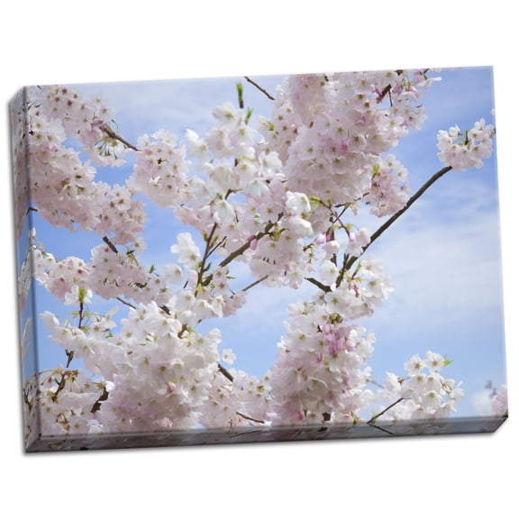 Gango Home Decor Spring Blossoms by George Johnson (Ready to Hang); One 24x18in Hand-Stretched Canvas