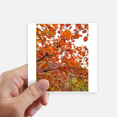 thumbnail image 1 of Automne Rouge art Déco Mode Autocollant Carré Imperméable Autocollants Papier Peint Voiture Autocollant, 1 of 1