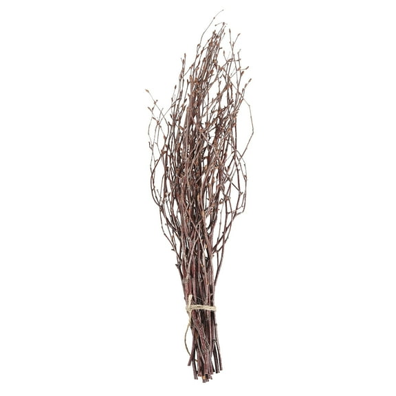 IBASETOY 10Pcs 40cm Natural Birch Branches Dry Branches Wooden Sticks Home Decoration Household Ornament Brown