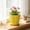 Yellow_New#854, variant on Flower Shaped Planter Pot with Drainage Hole and Saucer, Decorative Petal Design for Succulents, Herbs, and Indoor Plants