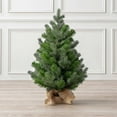 thumbnail image 1 of Mini Christmas Tree, 2ft Small Artificial Fir Tree, Desktop Tabletop Decoration with Weighted Burlap Base, 1 of 5