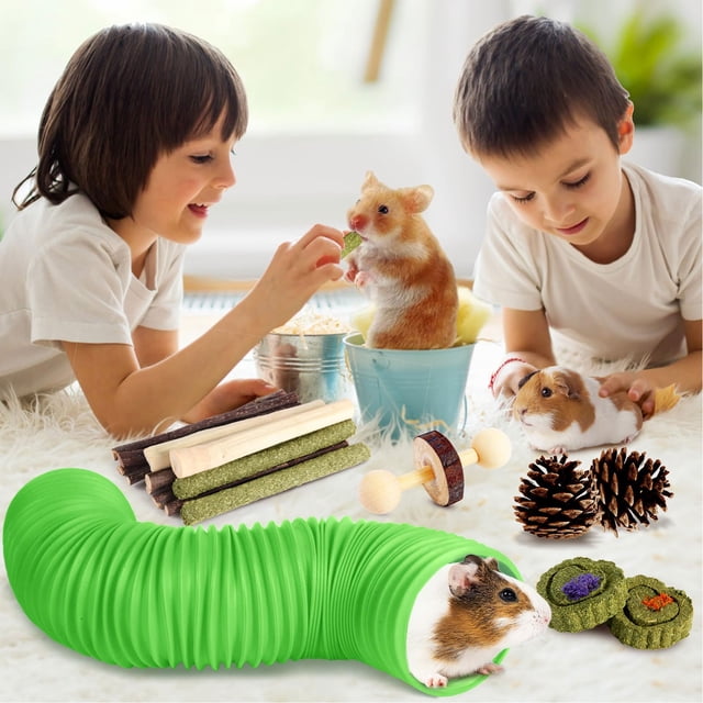 Juego De Juguetes Para Masticar Hámster Con Túnel, Madera Masticable, Timothy Hay, Conejillo De Indias, Juguetes Para Masticar Para Animales Pequeños