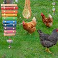 thumbnail image 5 of Chicken Toys for Coop 7PCS | Chicken Xylophone | Chicken Swing Set | Chicken Mirror Toy | Chicken Flexible Ladder | Chicken Vegetable String Bag and H, 5 of 5