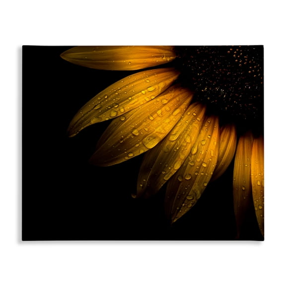 Water Droplets on Sunflower Canvas Wall Art, design by Brian Carson Photography