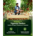 thumbnail image 2 of Happy Frog Tomato & Vegetable Fertilizer - Organic Vegetable Fertilizer for Vigorous Feeders, 5-7-3 Blend with Calcium & Mycorrhizal Fungi, Supports Abundant Fruit & Disease Resistance, 4 lb, 2 of 3