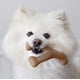 thumbnail image 4 of Juguete masticable para perros duradero para masticadores agresivos, fabricado en EE. UU., pequeño, sabor a tocino real (1 unidad) JM, 4 of 5