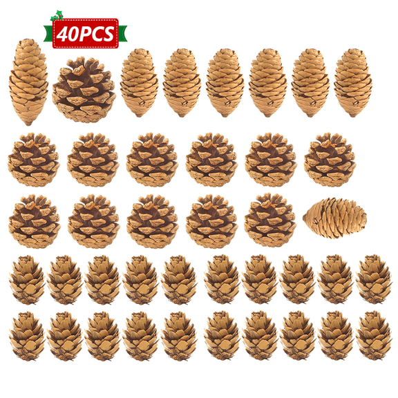 40 PCS Pine Cone Decorations, Large, Medium and Mini Sizes for Table, Tree and Home Decor