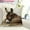 A, variant on Sleepy Donkey Pillow Cover, 2D Printed Linen Throw Pillowcase, Farmhouse Animal Decorative Pillow for Sofa or Bed, Soft Non Embroidered Home Accent for Living Room or Bedroom