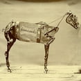 thumbnail image 2 of The Horse Comanche, 2 of 2