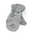 thumbnail image 2 of Bainana Gloves For Little Girls Boys Dinosaur Print Stretchy Full Finger Mittens Comfortable Thick Winter Child Ski Gloves Grey Size 4-6 Years, 2 of 6