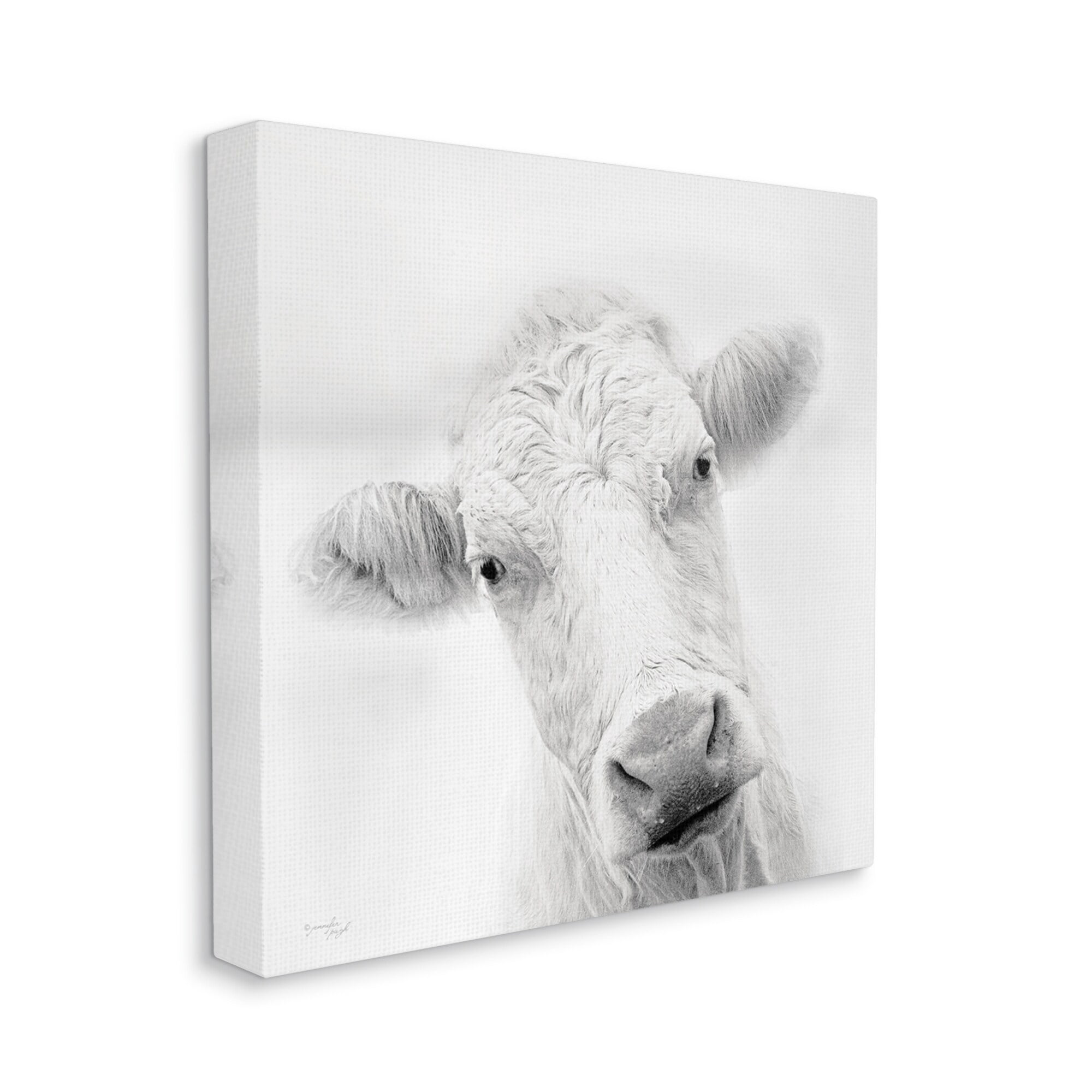 Stupell Industries Peaceful Cattle Portrait Close Up Rural Wildlife Photograph Gallery Wrapped Canvas Print Wall Art, Design by Jennifer Pugh