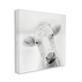 thumbnail image 3 of Stupell Industries Peaceful Cattle Portrait Close Up Rural Wildlife Photograph Gallery Wrapped Canvas Print Wall Art, Design by Jennifer Pugh, 3 of 5