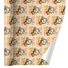 Rugrats Child of the 90s Premium Gift Wrap Wrapping Paper Roll