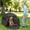 Dark Gray, variant on PawHut Pop Up Dog Tent for Large Dogs with Carry Bag, Green