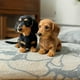 thumbnail image 3 of The Dachshund Dog, Emotional Healing on Demand, Realistic Dachshund Dog Plush with Ultra-Soft Fur and Hug-Like Design, Realistic Emotional Companion T, 3 of 5