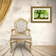 thumbnail image 3 of Kiciak, Christophe 14x11 Gold Ornate Wood Framed with Double Matting Museum Art Print Titled - Ponthus Beech, 3 of 4