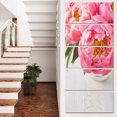 thumbnail image 1 of Fleurs de Pivoine Rose en Pleine Floraison - Impression sur Toile, 1 of 3