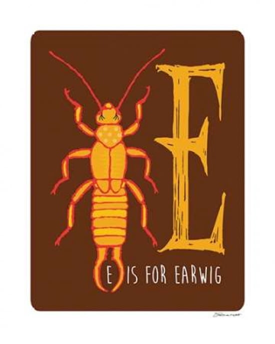 E Is For Earwig Can