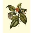 thumbnail image 2 of Vision Studio 15x17 Black Ornate Wood Framed with Double Matting Museum Art Print Titled - Magnificent Foliage IV, 2 of 4