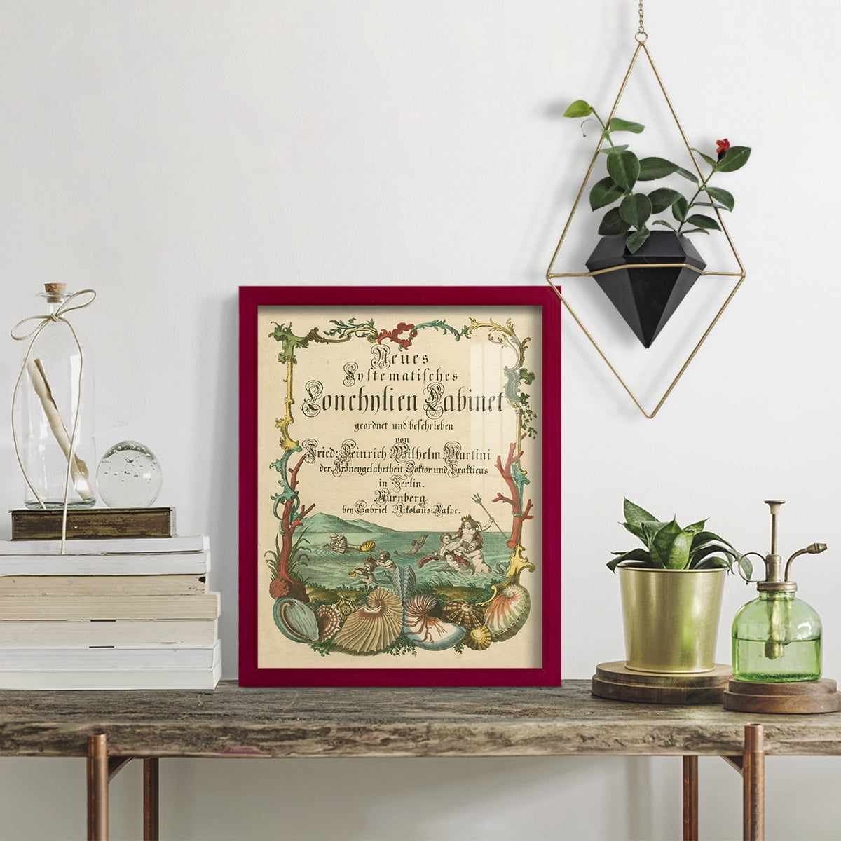 Cabinet of Conchology -Framed Print w/glass-Cherry Red
