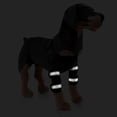 thumbnail image 3 of Pet Joint Brace for Dog Hind Leg Stability and Comfort, 3 of 5