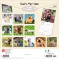 thumbnail image 2 of Cairn Terriers | 2027 12x24" (Hanging) Wall Calendar | Plastic-Free, 2 of 9