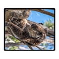 thumbnail image 2 of CADecor Koala Blanket Fleece Throw Blanket for Sofa or Bed 58x80 inches, 2 of 3