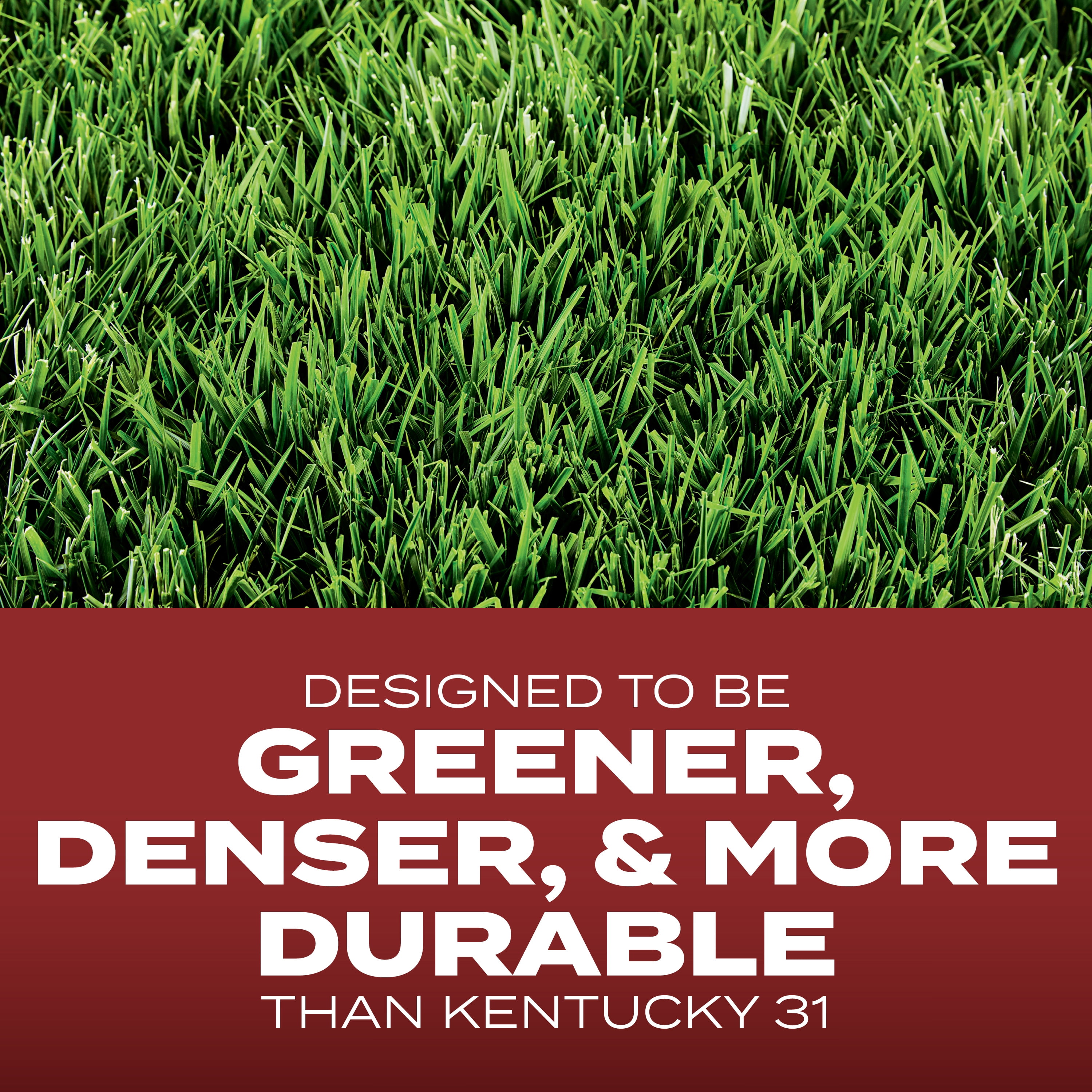 Scotts Turf Builder Grass Seed Commercial Mix for Tall Fescue Lawns, 7 lbs.