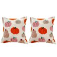 thumbnail image 1 of Halloween Tose Pillow Covers 18x18 Pulgadas para El Sofá Al Aire Libre (2pcs), 1 of 9